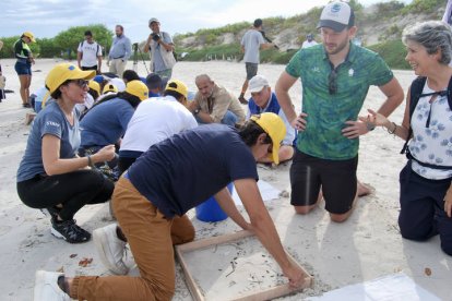 Demostración de limpieza de microplásticos.