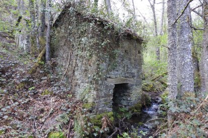 Imagenes de la última hacendera de Promonumenta en Santibáñez de Montes y de los ocho molinos que esquivaron el cielo abierto que devoró el pueblo.