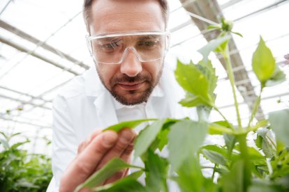 Investigador observando la hoja de una planta. Foto: Drobotdean/Freepik.