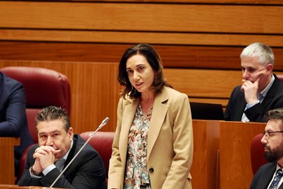 La procuradora leonesista Alicia Gallego, durante el pleno de las Cortes