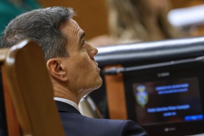 El presidente del Gobierno, Pedro Sánchez, en el Congreso. EFE/ Mariscal