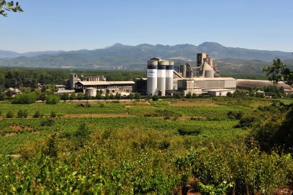 Imagen reciente de la planta de Cosmos en Toral de los Vados, en el Bierzo.