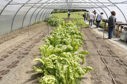 El Basque Culinary Center cuenta ya con una huerta propia en la que los futuros chefs o responsables de negocios vinculados a la alimentación aprenden a entender los alimentos desde su inicio. Un aula a cielo abierto, de una hectárea, en la que los alumnos sustituyen el ordenador portátil y los libros por botas de goma y herramientas agrícolas. EFE/Juan Herrero