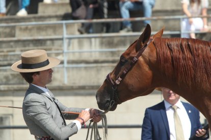 Las mejores fotos de la Feria del Caballo de Camponaraya.