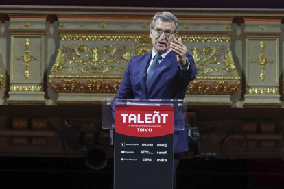 El líder del Partido Popular, Alberto Núñez Feijóo. EFE/ Kiko Huesca