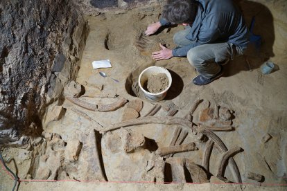 Expertos del Instituto Arqueológico Austriaco trabajan en la extracción y análisis de huesos de mamut de hasta 40.000 años de antigüedad encontrados en una bodega subterránea a unos 75 kilómetros de Viena. EFE/Oeaw-oeai/Th. Einwögerer SOLO USO EDITORIAL/SOLO DISPONIBLE PARA ILUSTRAR LA NOTICIA QUE ACOMPAÑA (CRÉDITO OBLIGATORIO)