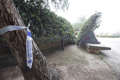 El cadáver del bebé de ocho meses fue hallado este domingo en un parque junto a un banco.