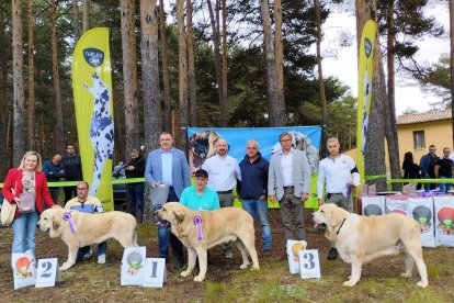 La entrega de premios a los mejores ejemplares con las autoridades.