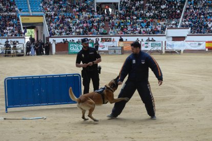 Los guías caninos dejaron momentos muy espectaculares.