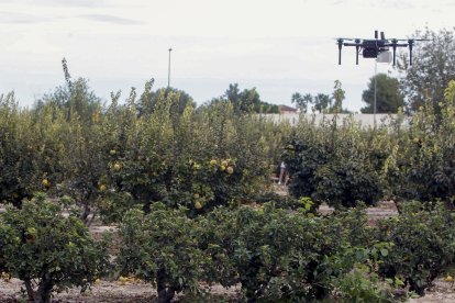 Un dron en vuelo