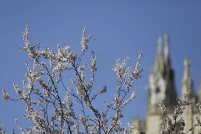 Mañana de calor en León.