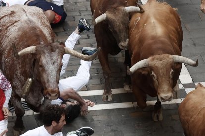 Los toros de la ganadería de Domingo Hernández Martín a su paso por la calle Estafeta, en el quinto encierro de los Sanfermines este jueves en Pamplona. EFE/Jesús Diges