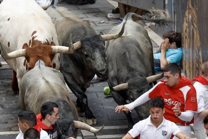 Los mozos son perseguidos por los toros de la ganadería abulense de José Escolar Gil durante el séptimo encierro de los Sanfermines 2024 este sábado en Pamplona. EFE/Villar López