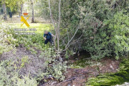 Los Geas de la Guardia Civil se incorporan a las labores de búsqueda del hombre desaparecido el jueves en Las Salas.