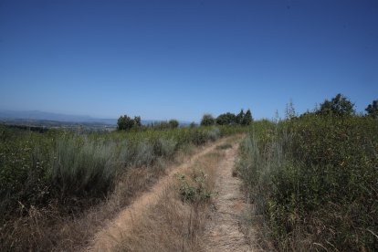 Entorno del pantano de Bárcena en el que fueron localizados el coche y el cuerpo sin vida del joven desaparecido hace días.