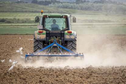 Un agricultor labra con tractor la tierra, donde la escasez de lluvias y las altas temperaturas provocan una gran polvareda