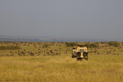 Imagen de archivo de varios coches de safari en la sabana del Masái Mara (Kenia) para observar la migración anual de miles de ñus procedentes del Serengueti, en Tanzania. EFE/ Mercedes Ortuño Lizarán