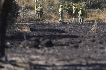 En la imagen de ayer, martes, los trabajos de extinción llevados a cabo en la localidad leonesa de Castrillo de los Polvazares, cerca de Astorga. EFE/J.Casares