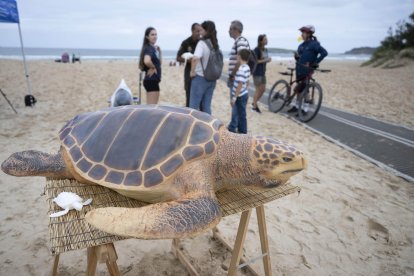 Un puesto situado en la playa de Somo de la Red de Varamientos del Gobierno de Cantabria (ReVarCa) para concienciar a la población de la importancia de llamar a los servicios de emergencia en caso de encontrar un animal varado y también para informar de los peligros que conlleva actuar de manera incorrecta. EFE/Pedro Puente Hoyos