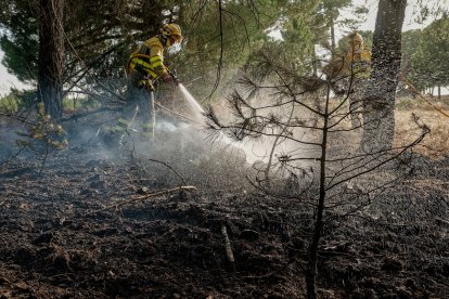 Incendio declarado a finales de agosto en la provincia de Ávila. EFE/Raúl Sanchidrián