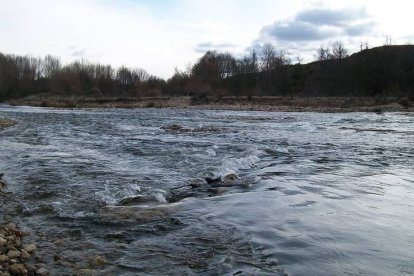 El río Omaña y sus riberas está considerado como Lugar de Interés Comunitario (LIC). dl