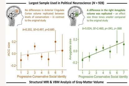 Gráfico del artículo publicado en iScience que analiza la correlación entre la idiología política y la estructura cerebral. Fotografía facilitada por Petropoulos Petalas et al./iScience. EFE