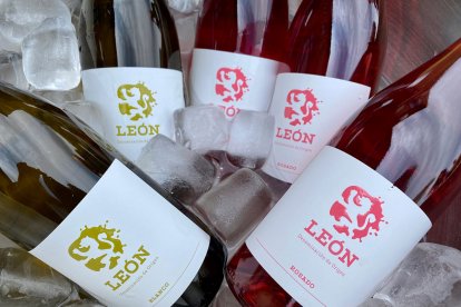 Vinos genéricos de la Denominación de Origen León