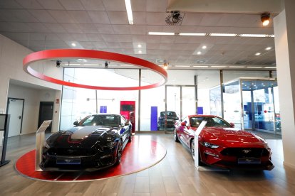 Vista de varios vehículos en venta expuestos en un concesionario de coches de Madrid, en una foto de archivo. EFE/Javier Lizón