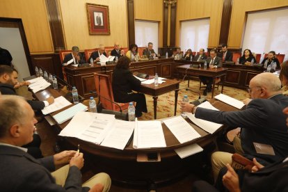 Un momento del pleno celebrado en el Ayuntamiento de León.