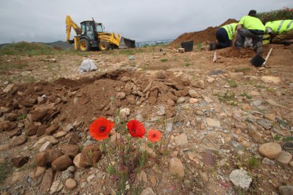 Concluyen las excavaciones para exhumar víctimas de la represión franquista en el cementerio del Carmen de Ponferrada