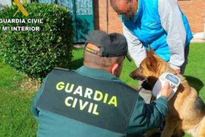 GUARDIA CIVIL CYL