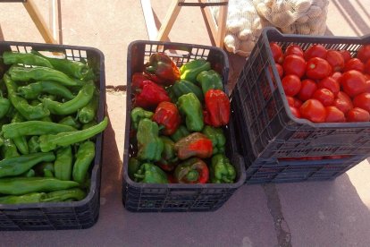 Productos que estarán presentes en Matachana.