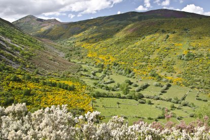 Paraje con sebes en Fasgar, en la Reserva de la Biosfera Valles de Omaña y Luna