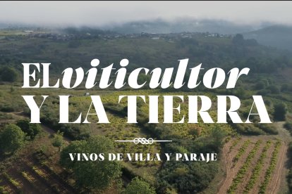 Cabecera del largometraje documental sobre la clasificación de los vinos en El Bierzo.