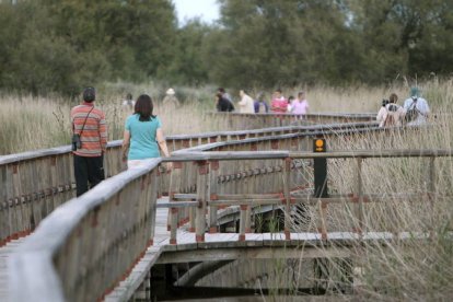 Las Tablas de Daimiel, en la provincia de Ciudad Real, uno de los lugares elegidos por el turismo para disfrutar de la naturaleza y de las aves.