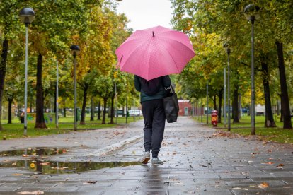 Imagen de esta semana de un día de lluvia. EFE/ Raquel Manzanares