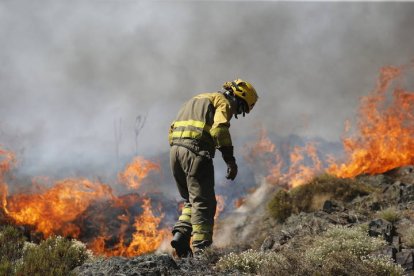 Un bombero forestal actúa en el foco de un incendio.