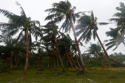 Los árboles están parcialmente caídos debido a los poderosos vientos, mientras el tifón Kong-Rey se dirige rápidamente hacia Taiwán, en una zona costera de Hualien, Taiwán, 31 de octubre de 2024. EFE/EPA/Daniel Ceng