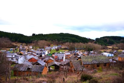 Imagen reciente de Sancedo, rodeado de pinos.