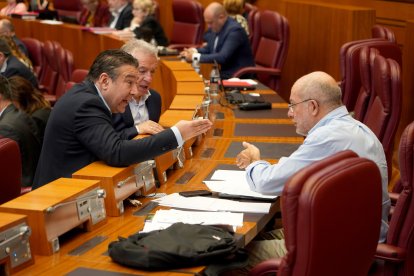 Segunda jornada del pleno de las Cortes de Castilla y León.