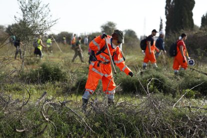 Un grupo de voluntarios rastrean los alrededores de la localidad de Torrent en busca de cuerpos arrastrados por las riadas, este viernes. EFE/Jorge Zapata