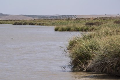 Imagen de archivo del río Guadalquivir en las inmediaciones de Sanlúcar de Barrameda (Cádiz) donde anoche murió un narcotraficante en una colisión entre una narcolancha y una patrullera de la Guardia Civil.EFE/ Román Ríos