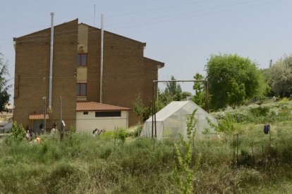 Niños y niñas durante el recreo en Sahagún.
