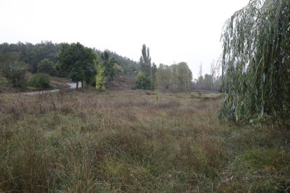 Parcela, dentro de la dehesa del Valsemana, donde se construirá el nuevo centro.