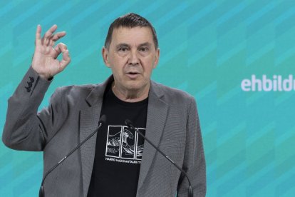 El coordinador general de EH Bildu, Arnaldo Oteg.