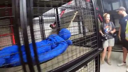 Entrenamiento en Colonia de los futuros astronautas