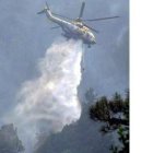 Adena advierte de que el 60% de los incendios son intencionados