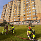 Bomberos de León realizan labores de prevención de incendios.