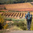 Fotografía de archivo de varios peregrinos que recorren el Camino de Santiago. EFE/ Raquel Manzanares