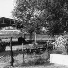 En este cortijo de Paradas, apareció el cadáver de Manuel Zapata, el capataz y principal sospechoso de la muerte de las otras cuatro personas que fueron halladas en la misma finca. Zapata, que fue encontrado con la cabeza destrozada a golpes, murió el mismo día, que los otros cuatro trabajadores y, con él, las claves de unos de los crímenes que más conmocionaron a la sociedad española. EFE/jgv